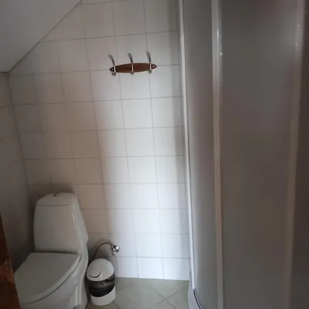 Sveciu Namai Alejos Azuolas Druskininkai
