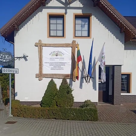 Sveciu Namai Alejos Azuolas Druskininkai